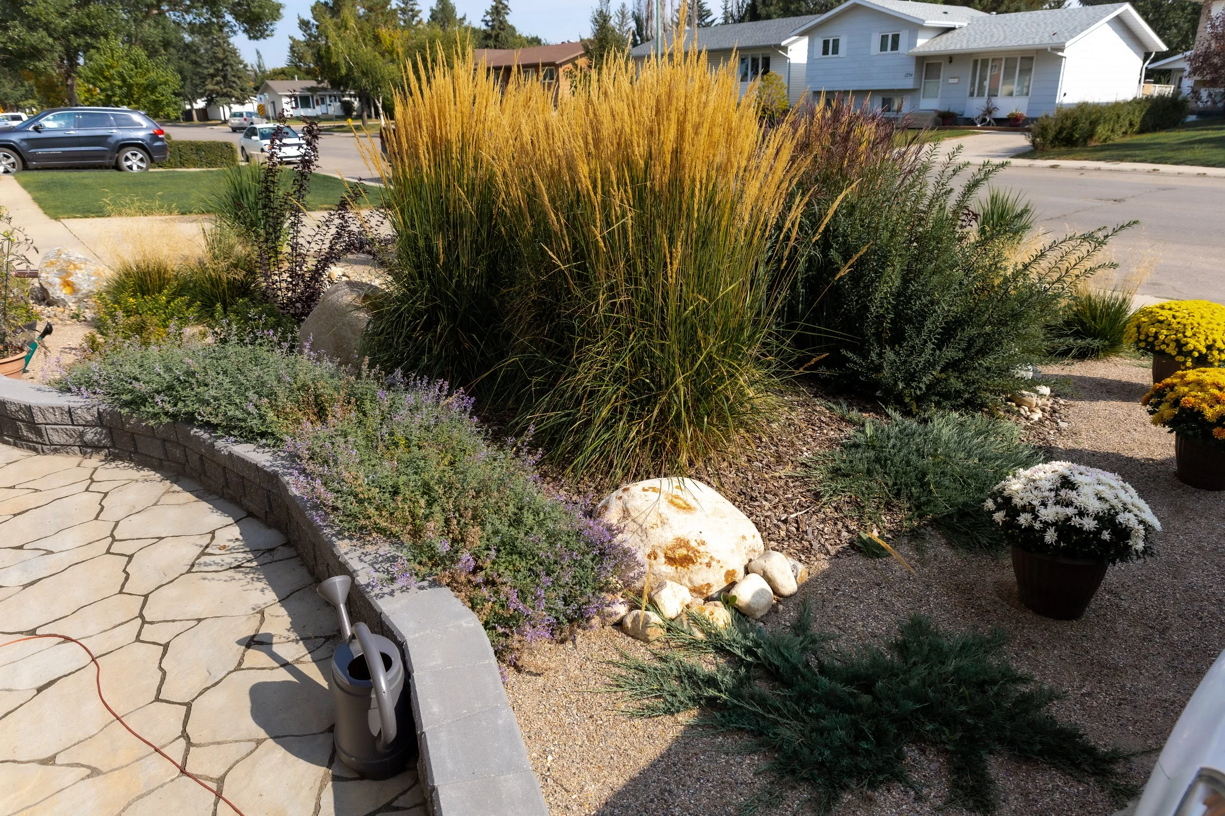 Confed Xeriscape