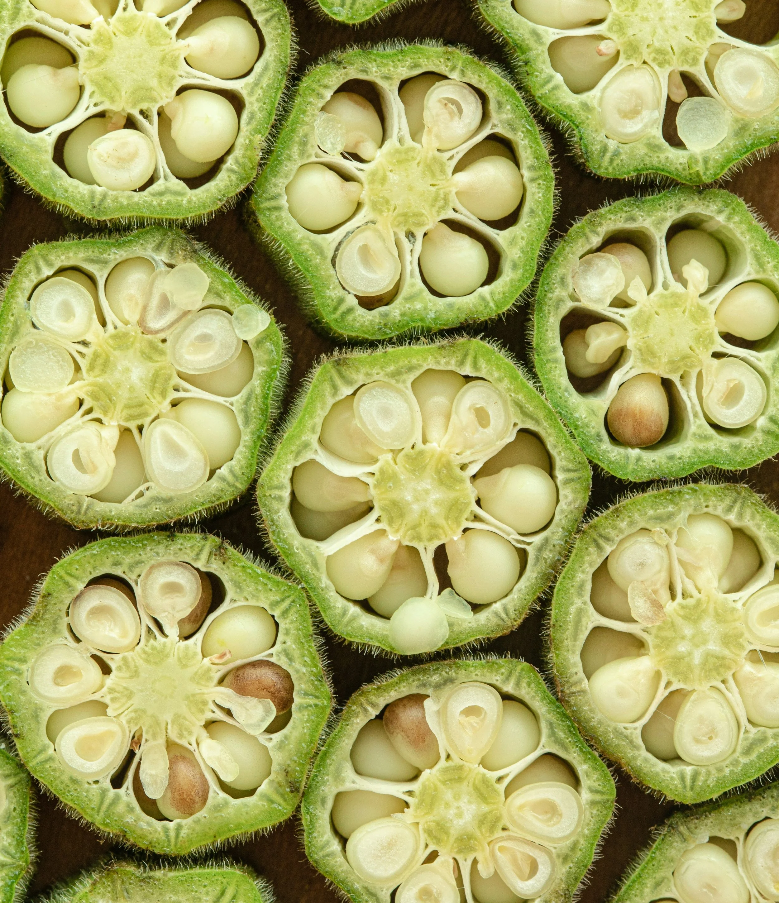 Close-up of sliced green okra pods showing white seeds inside.