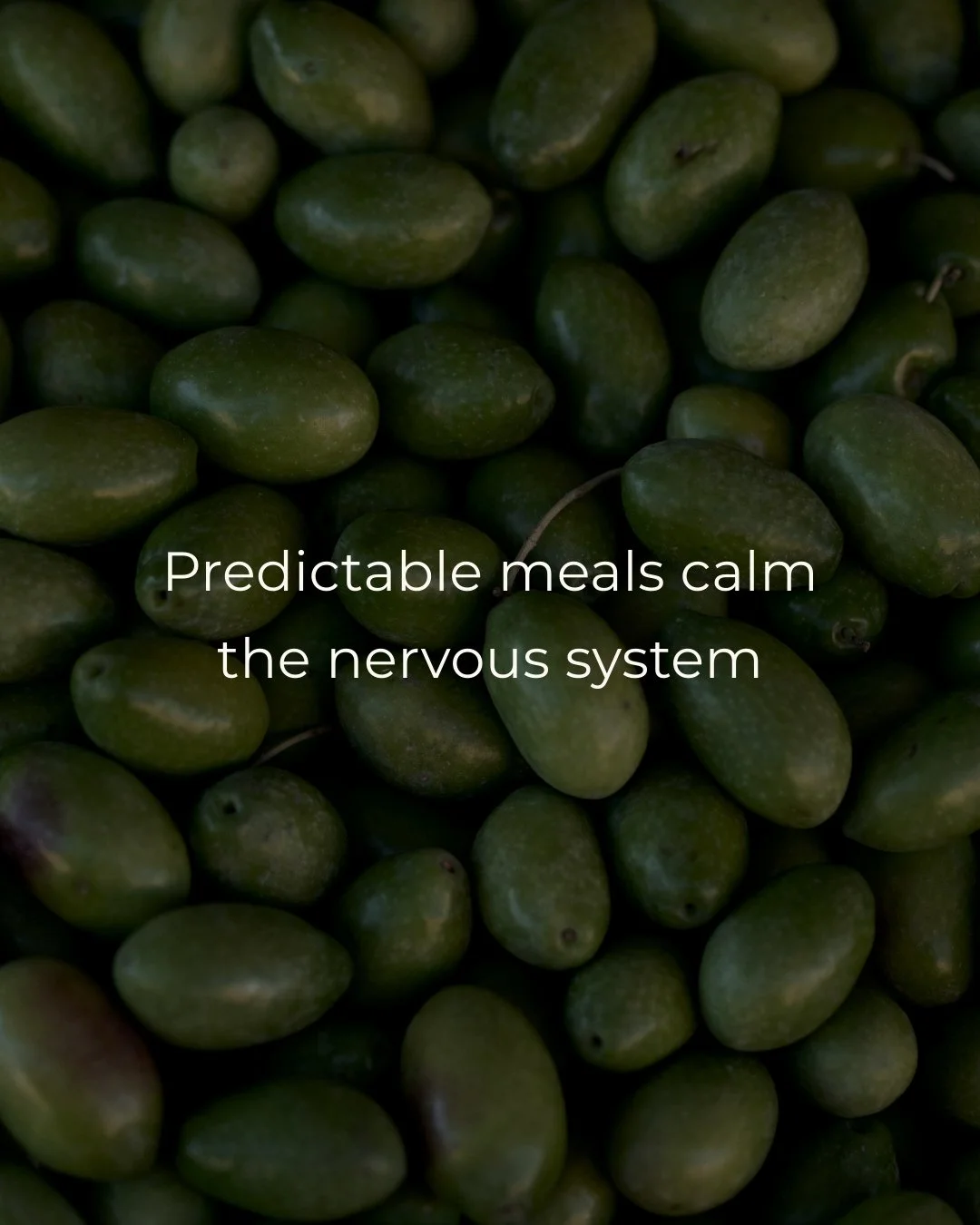The body is highly sensitive to signals of safety and scarcity. When meals are skipped, delayed, or irregular, the nervous system interprets this as uncertainty,  and stress hormones rise to compensate.⁠
⁠
Cortisol helps maintain energy by increasing