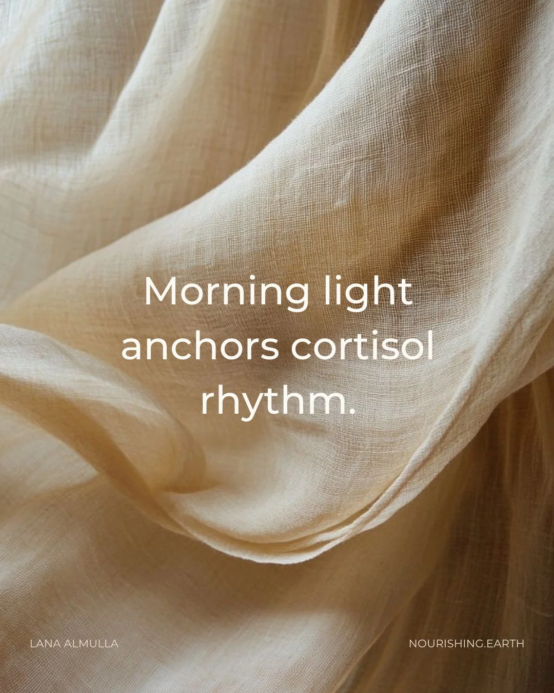 Cortisol follows a natural daily pattern. It rises in the morning to help you wake up, feel alert, and mobilise energy, then gradually declines throughout the day.⁠
⁠
Morning light is one of the strongest signals that sets this rhythm. When light ent