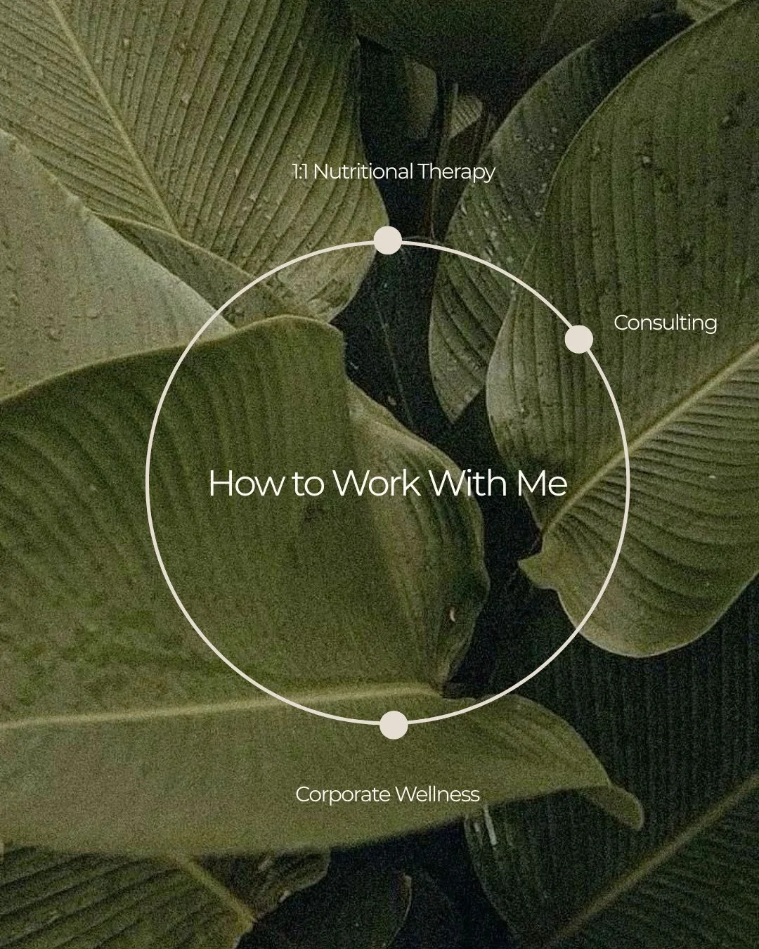 My work sits at the intersection of nutrition, stress physiology, and nervous system health, supporting both individuals and organisations to function more sustainably.⁠
⁠
For individuals, I offer a 12-week 1:1 nutritional therapy programme. This is 