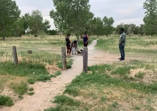 walk audit pic 2.JPG