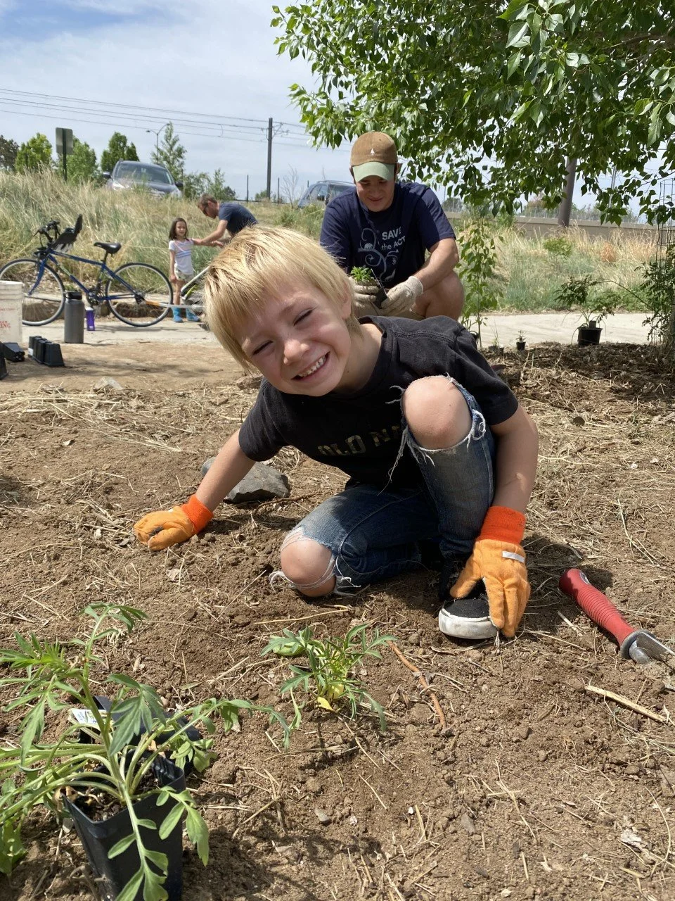 Volunteer Workday: City of Aurora Pollinator Garden Prep