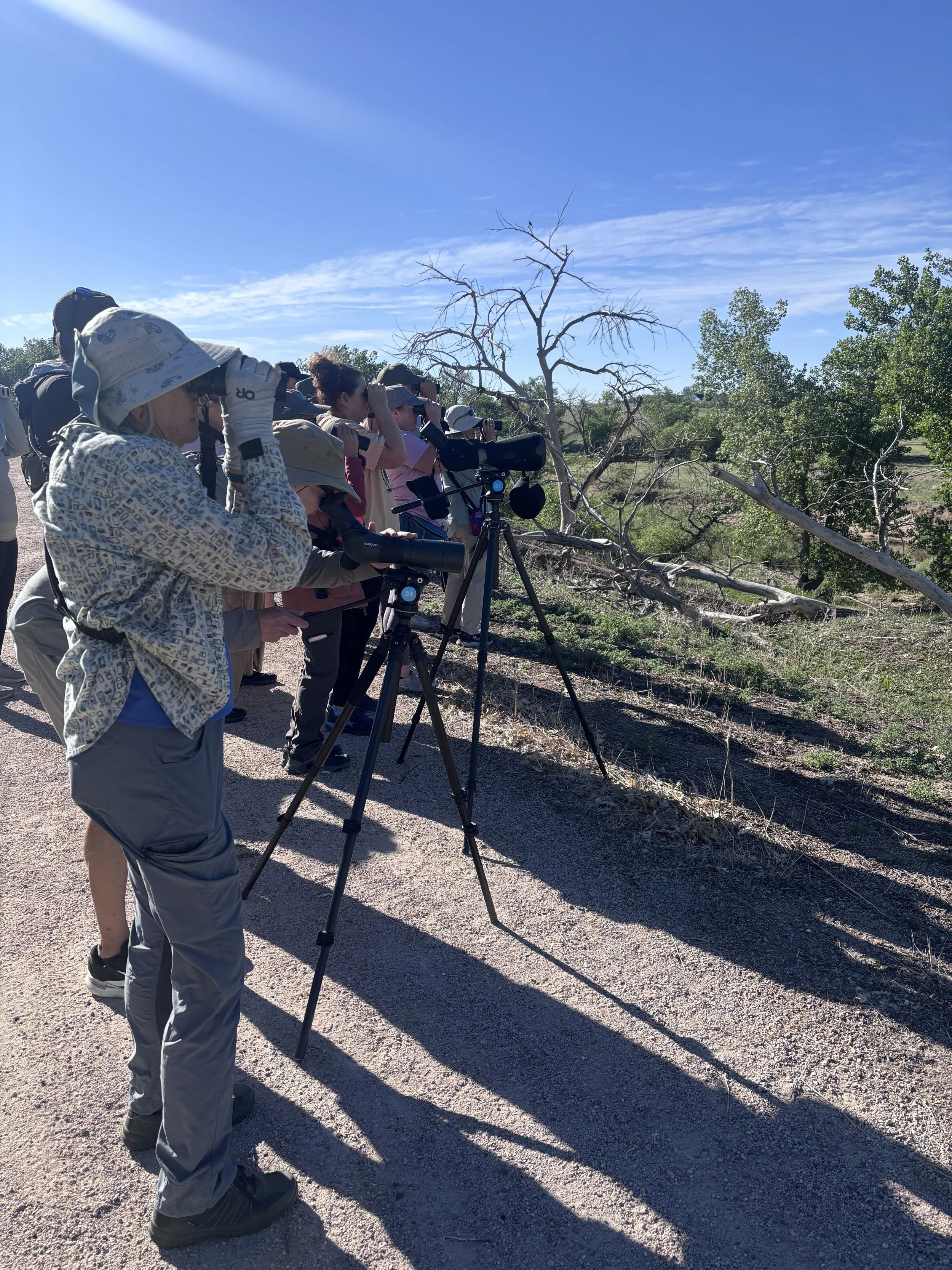Evening Bird Walk with Denver Field Ornithologists