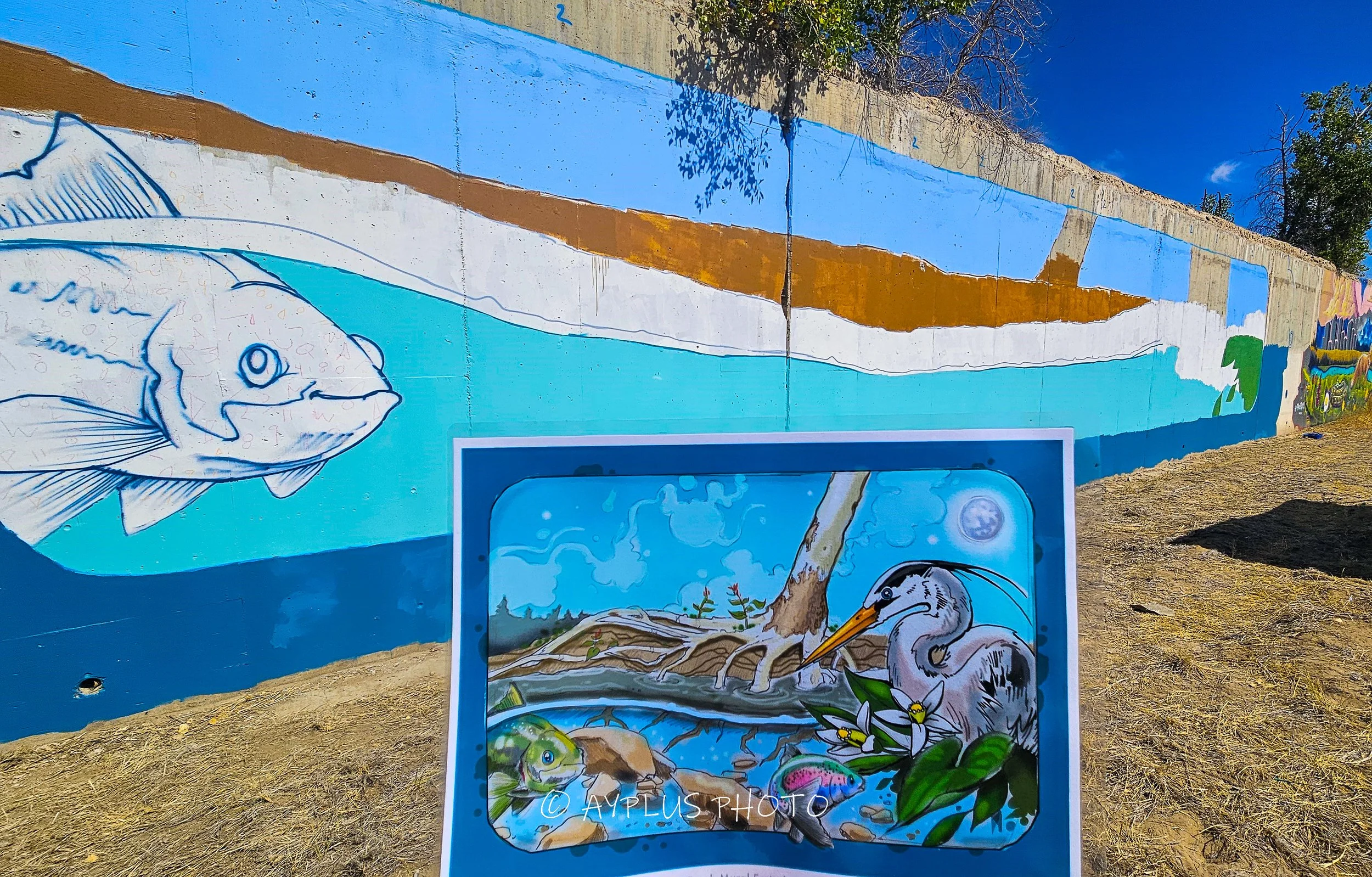 2024 AY+ Mural Fest 9-14-132.jpg