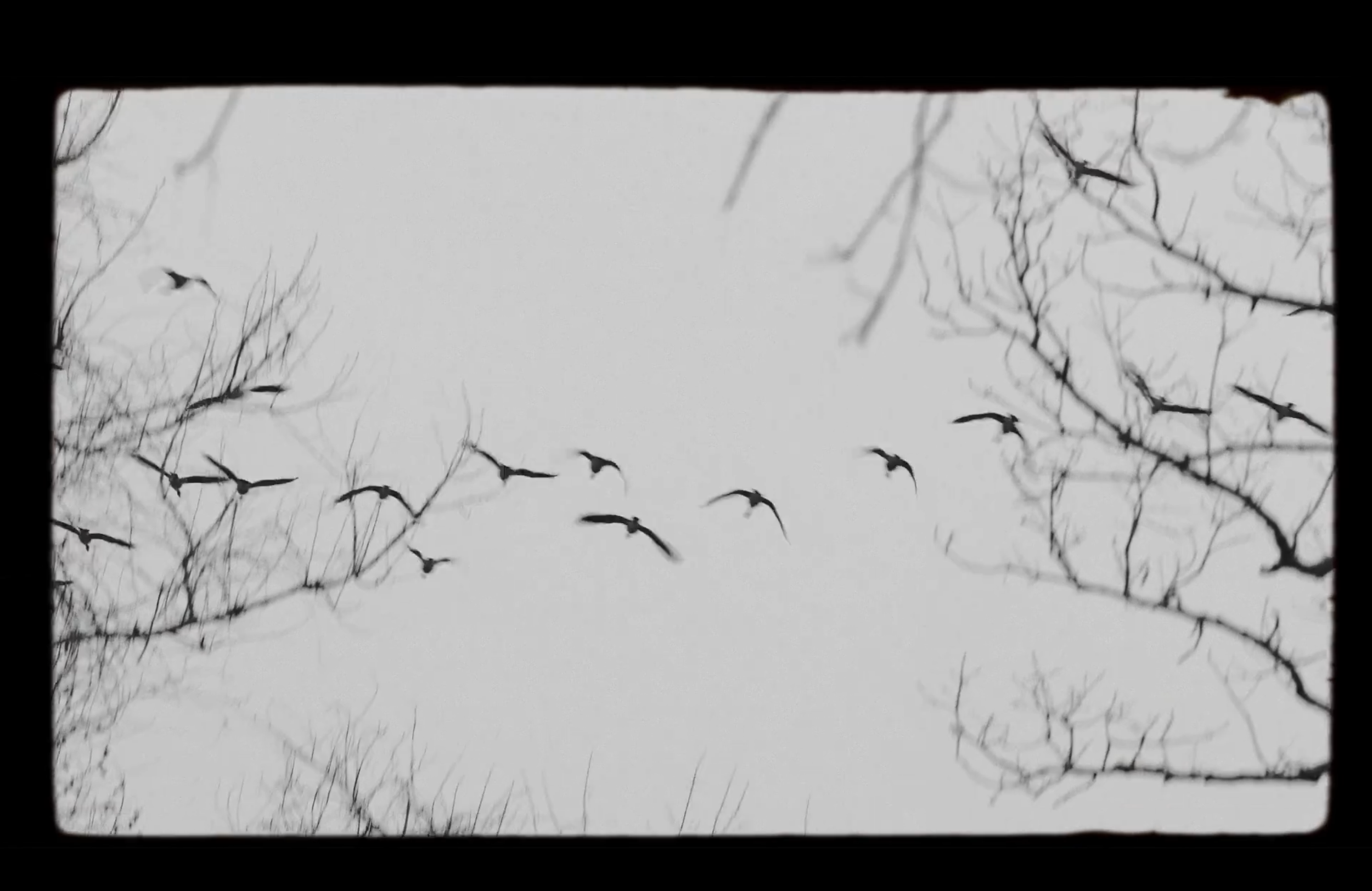 Screenshot 2025-12-06 at 4.14.16 PM.png