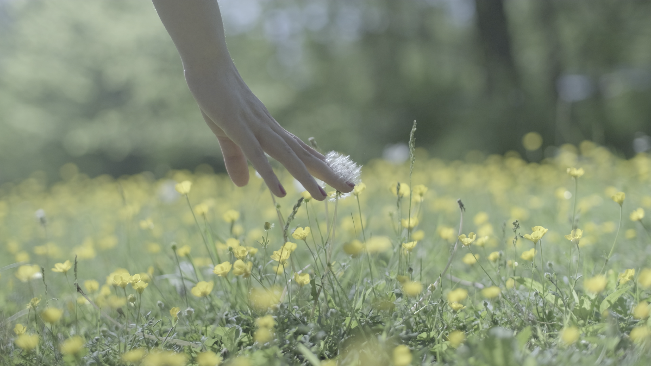 Screenshot 2022-08-27 at 11.36.14 pm.png