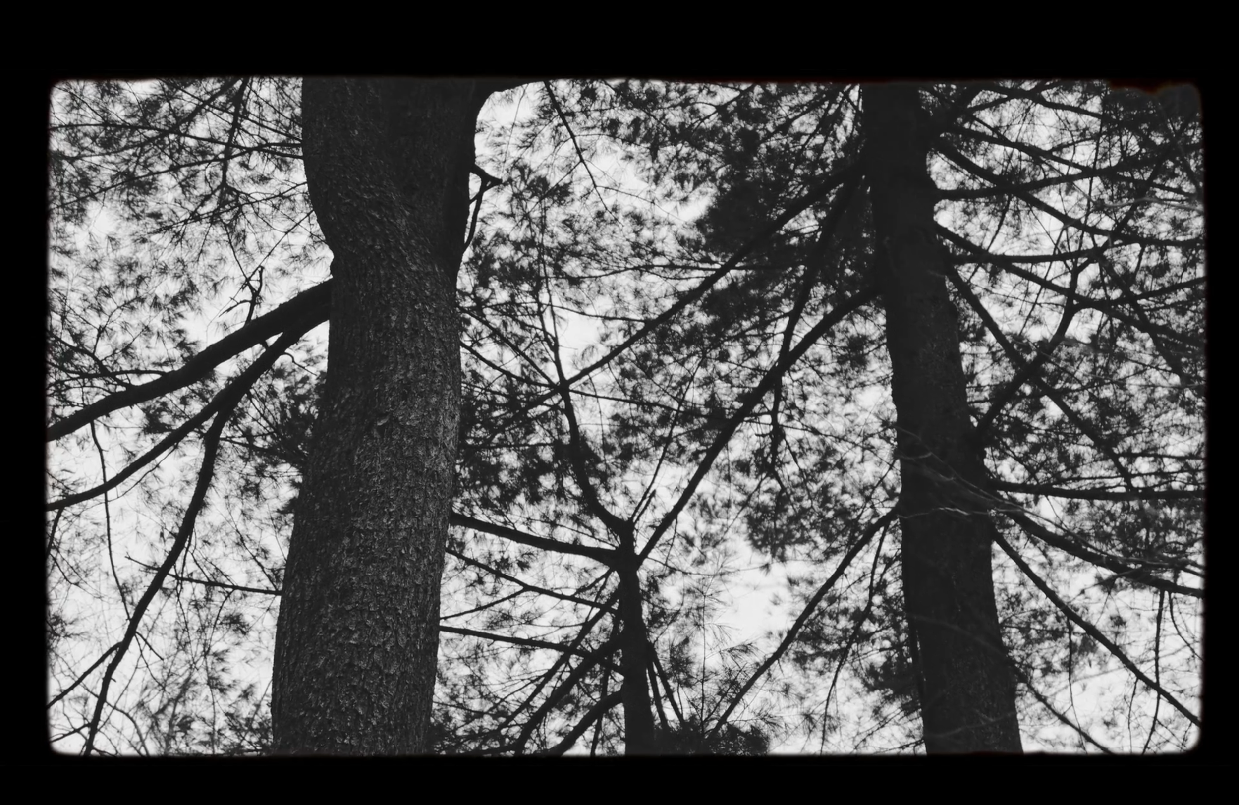 Screenshot 2025-12-06 at 4.20.17 PM.png