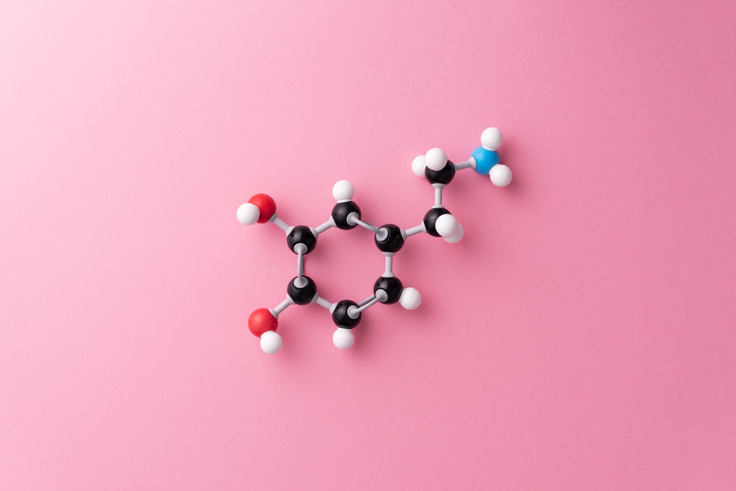 Dopamine and eating behavior