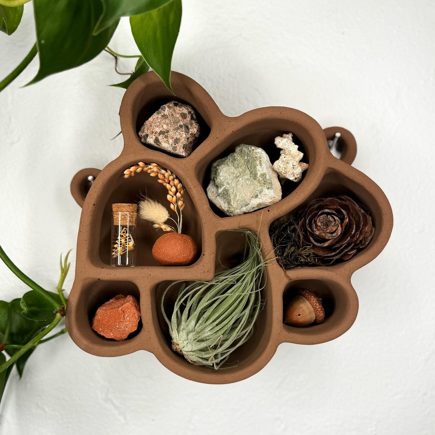 There&rsquo;s just something about a dark brown that feels so warm and woodsy. These will be added to the site soon!

#foragedandfound #natureflatlays #naturelovers #natureflatlay #natureshelf #natureshelfie