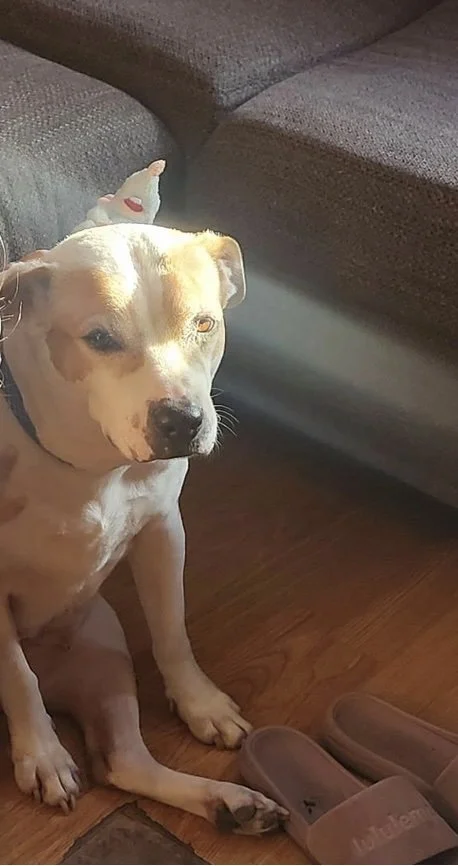 Lacey’s Story