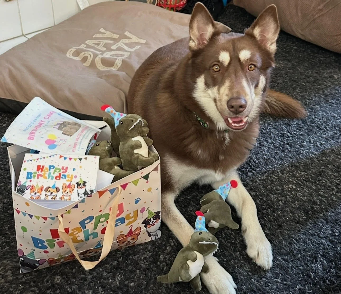 Juno’s Story