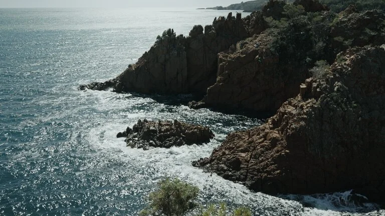 france stills_1.76.1.jpeg