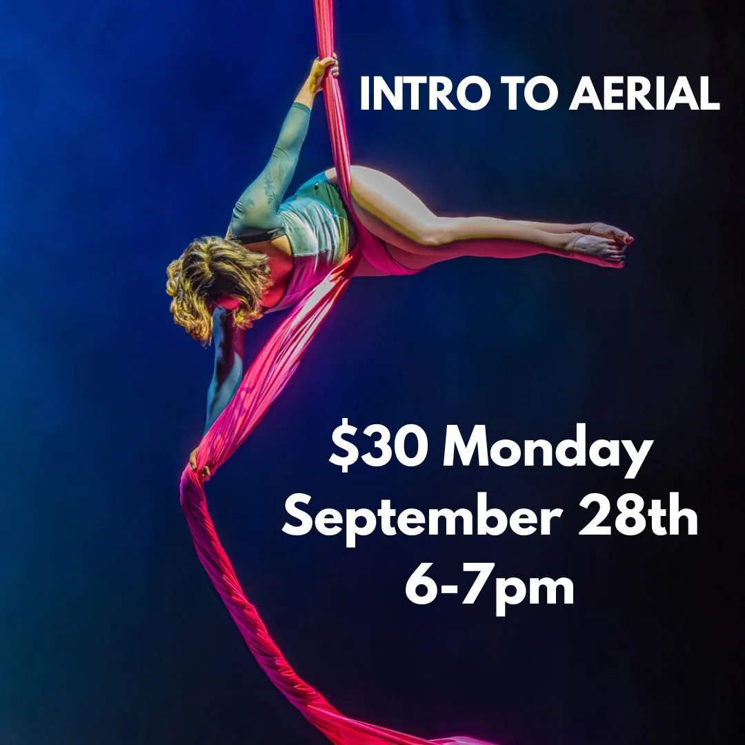 Intro to Aerial Workshop | MONDAY September 28 2026 - 6:00 pm - 7:00 pm