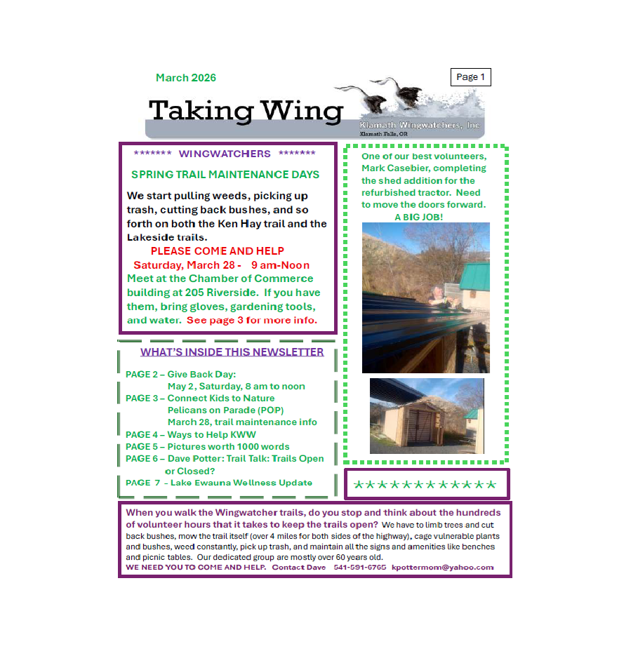 Taking Wing, March 2026 Newsletter