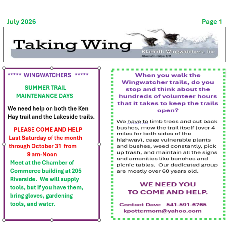 Taking Wing, July 2026 Newsletter