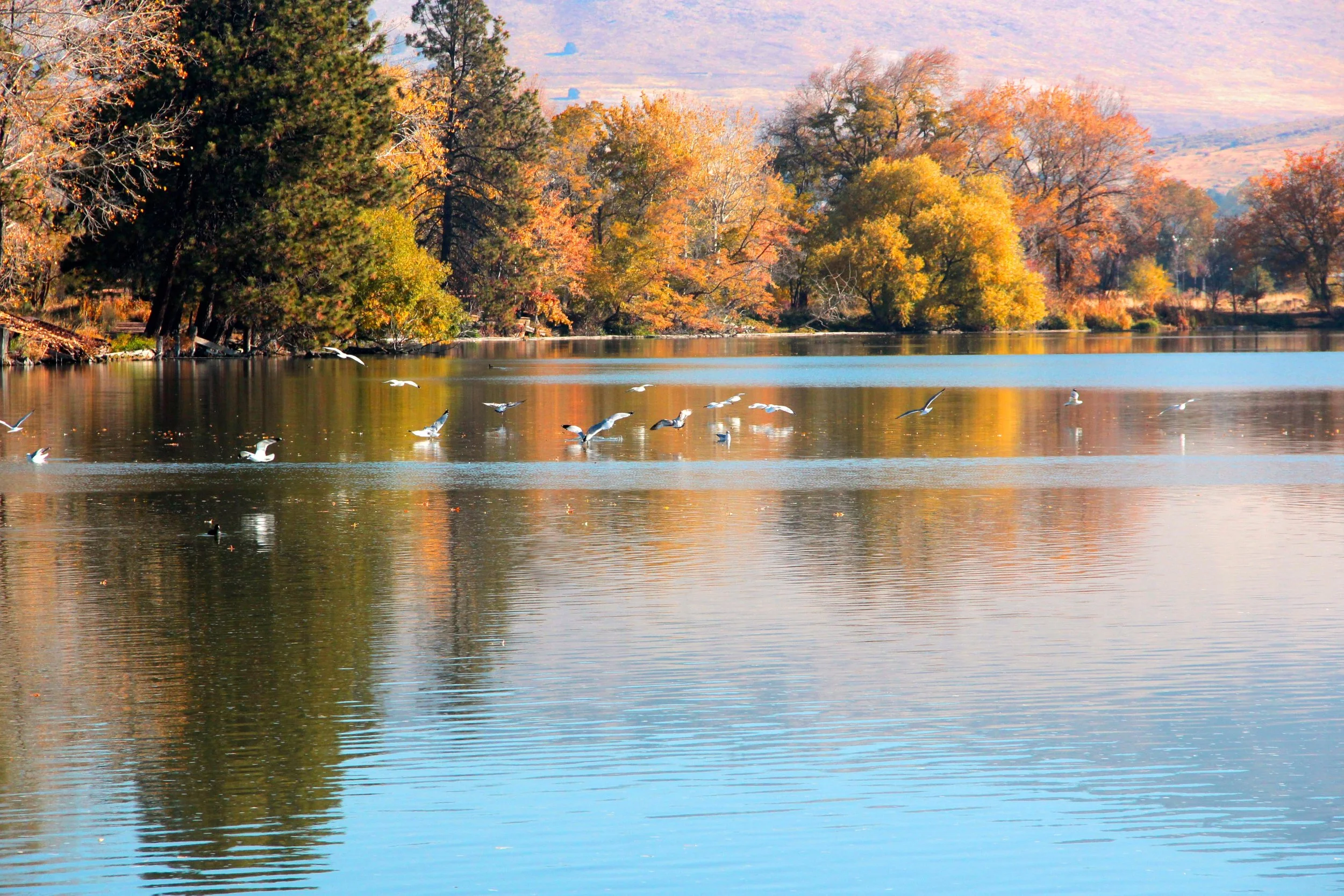 scene from WW Trail.jpg