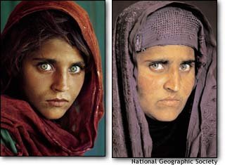 sharbat gula.jpeg