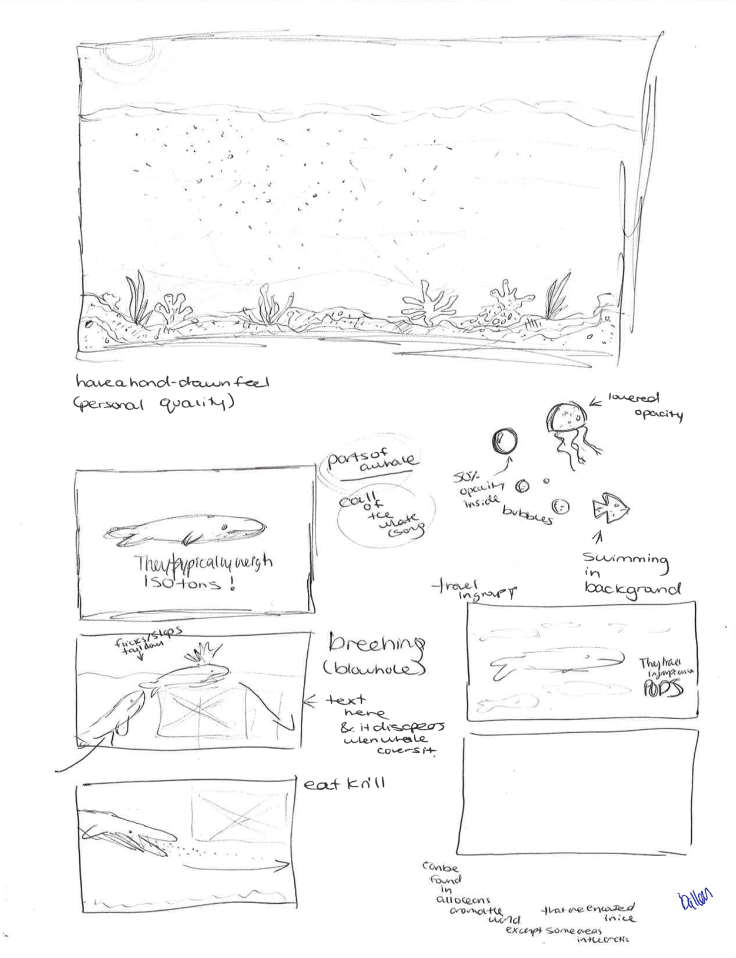 Blue whale process_2.png