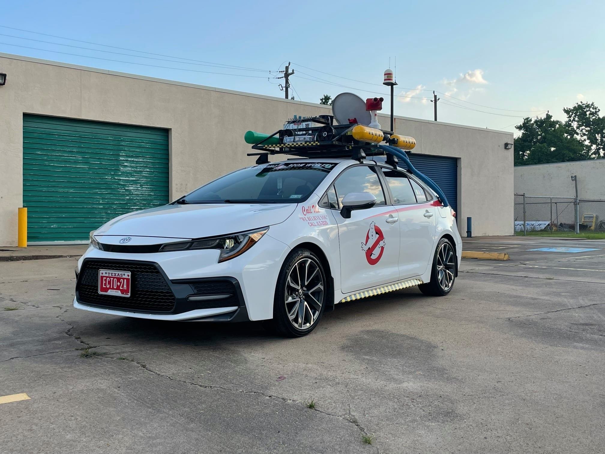 ecto2a.jpg