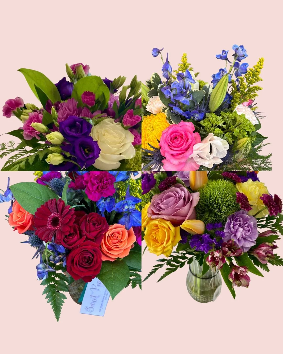 Designer's Choice - PICK UP ONLY