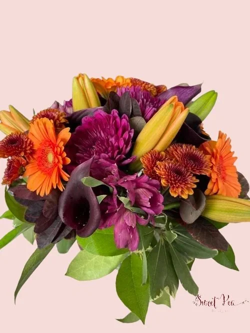 Untitled Design (11).jpg