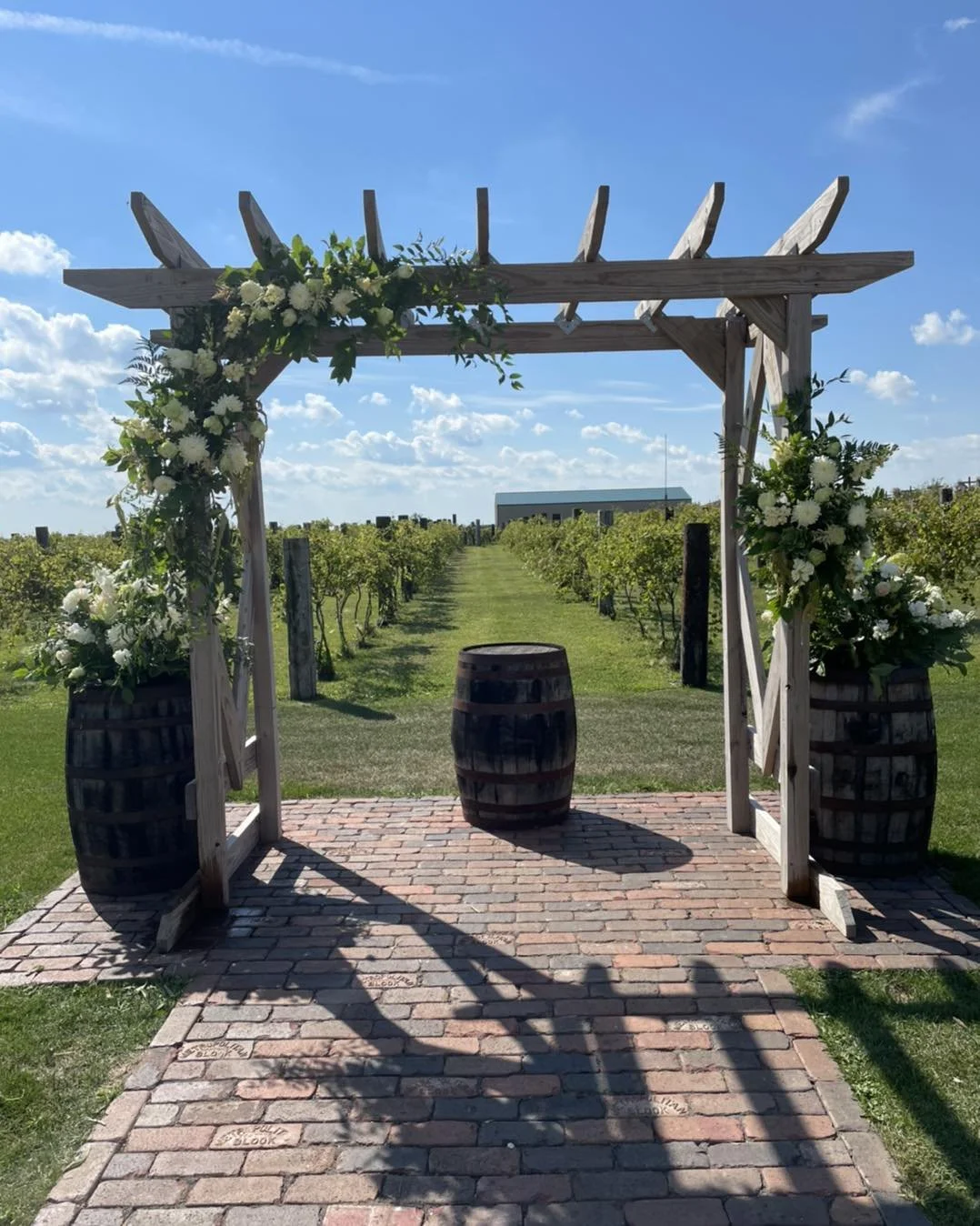 A wooden arch decorated with white flowers and greenery, set outdoors on a brick pathway in a vineyard with rows of grapevines under a blue sky.