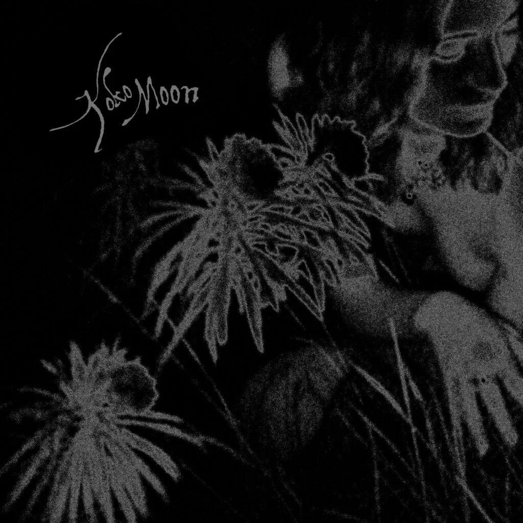 Let The Wild Run At Night