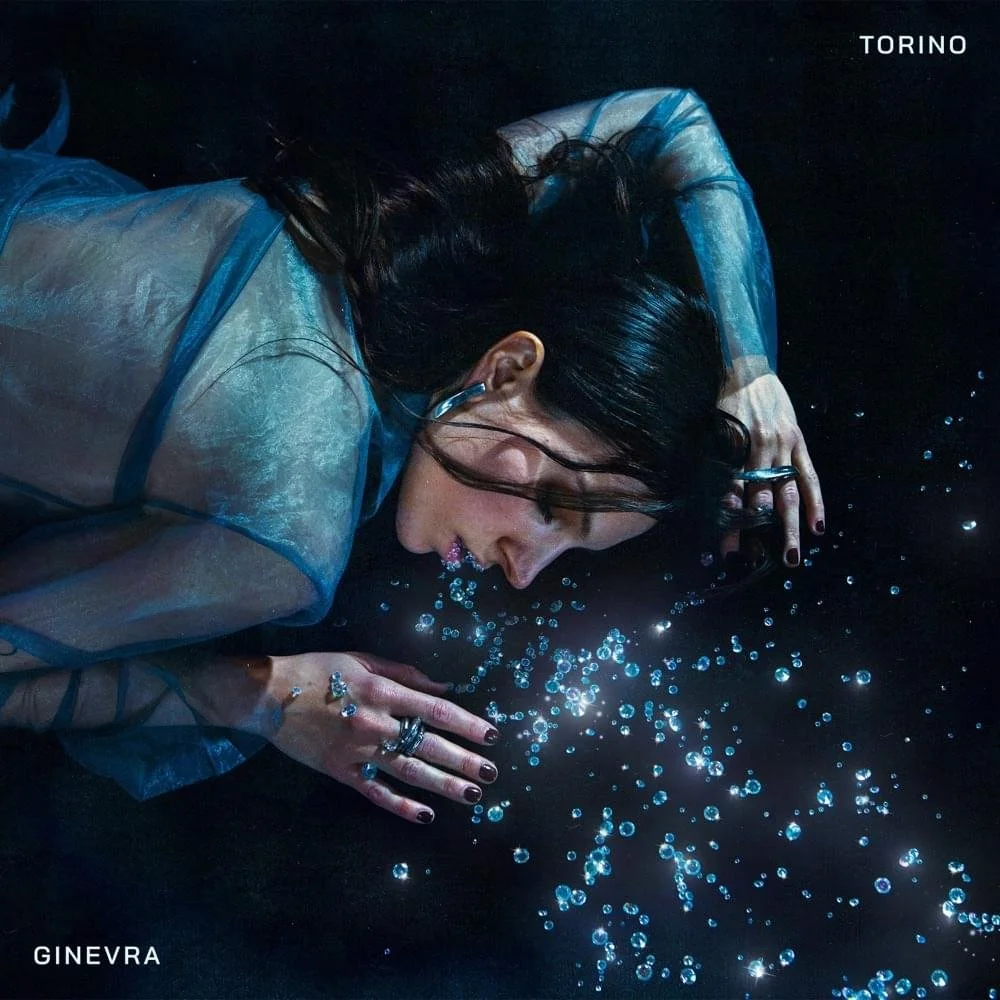 GINEVRA - TORINO - Mixer