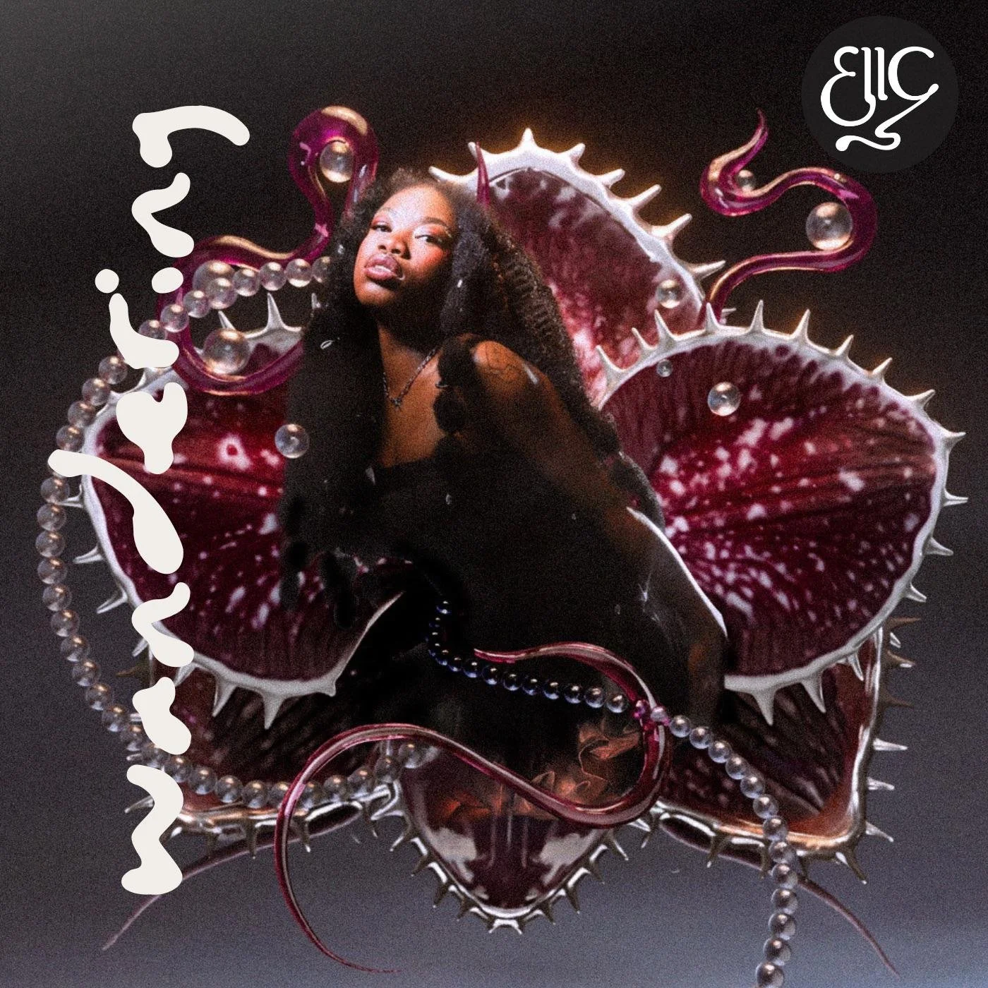 ELLC - Wandering - Selected Tracks Producer/Mixer