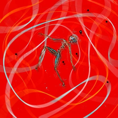 Anything Pointless, Danilo Menna - Human Soul Plastic Society - Producer/Mixer