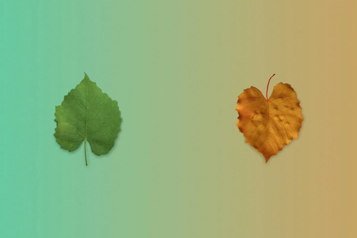 When the Seasons Change, So Should Your Financial Plan