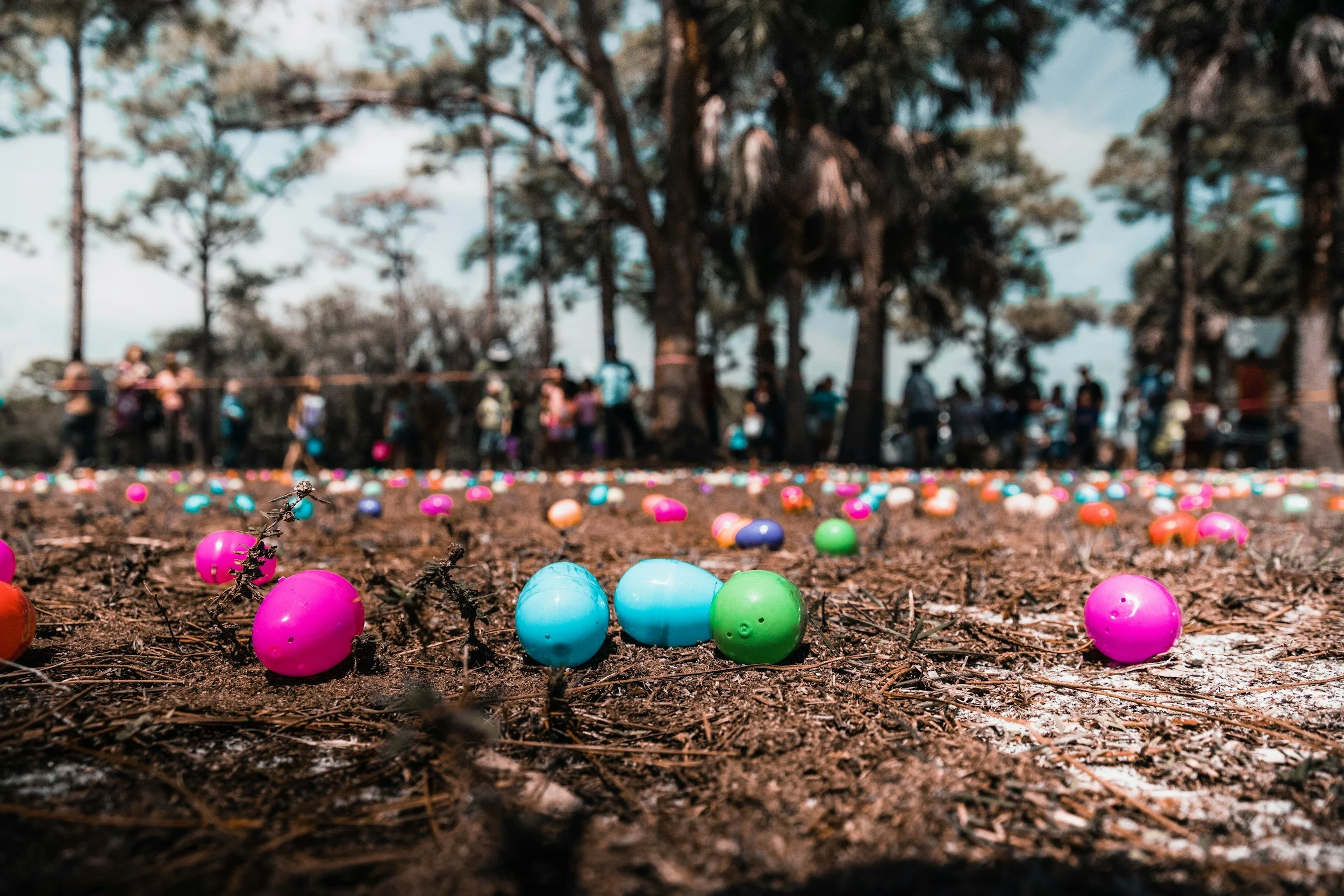 Shows a sign for the largest free easter egg hunt in Maine