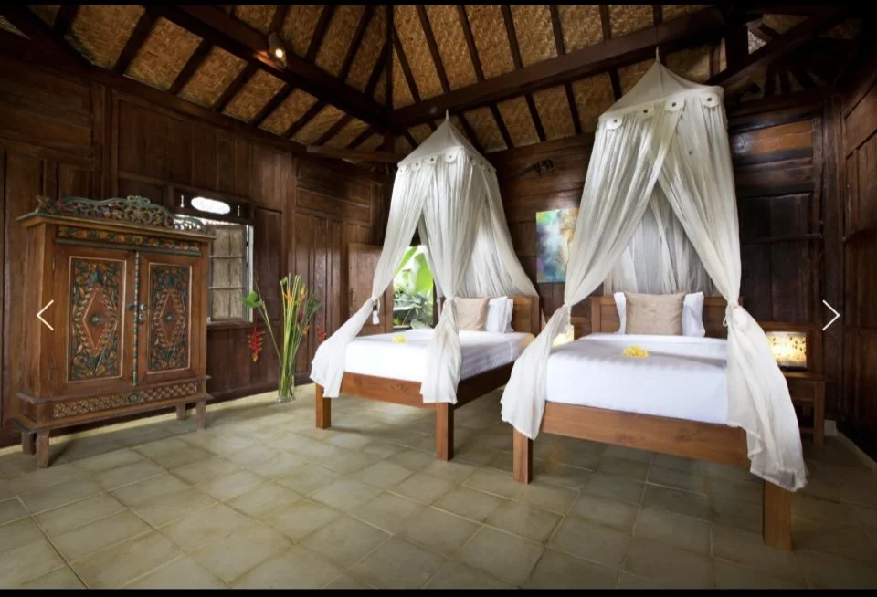 A rustic bedroom with two twin beds featuring white canopy curtains, wooden headboards, tan pillows, and white bedding. The room has wooden walls, a vaulted ceiling, a wooden cabinet with colorful carvings, and a large green plant near the window.