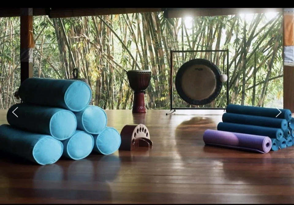 Yoga mats in blue and purple rolled up on wooden floor in front of a window with bamboo outside, with a gong, a drum, and a wooden percussion instrument in the background.