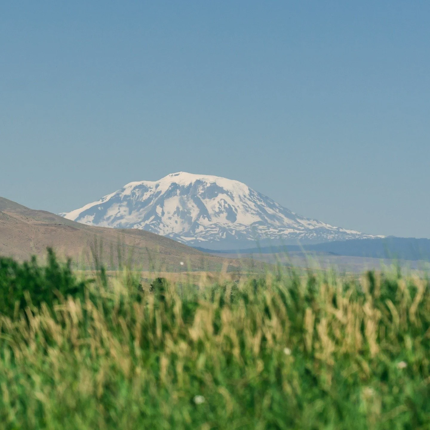 A glimpse into the beautiful backdrops we&rsquo;ve captured this summer while working with clients across the Yakima Valley. 📸✨ 

#DigitalVendetta #YakimaValley #BehindTheLens