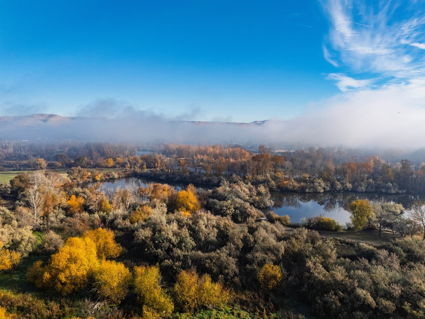 Sometimes the drive to work inspires the need to get the drone out and see things from a higher perspective. Fall in Central Washington never disappoints!