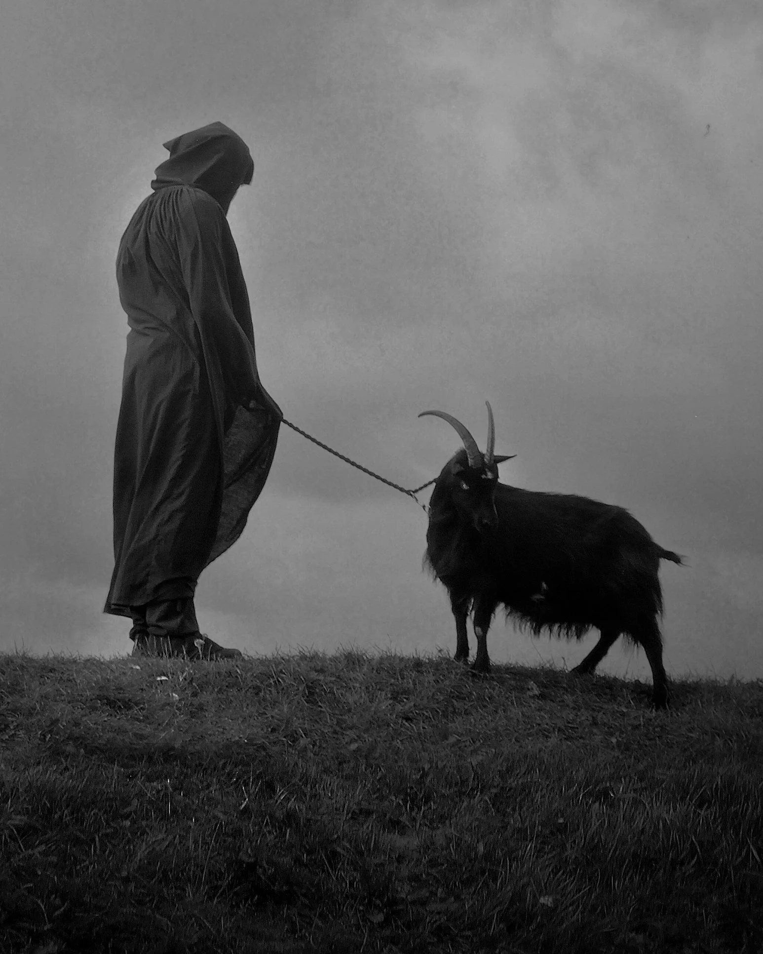 goat-2020-edit.jpg
