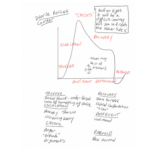 divorce roller coaste