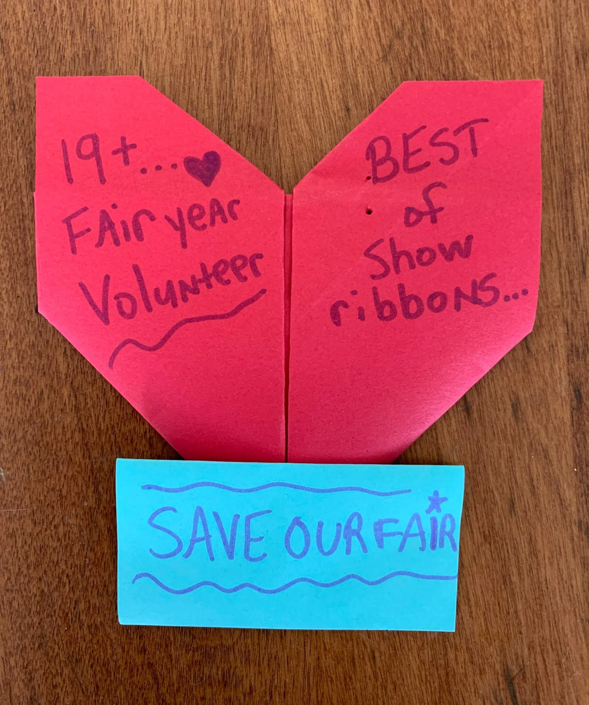 19+ Year Fair Volunteer