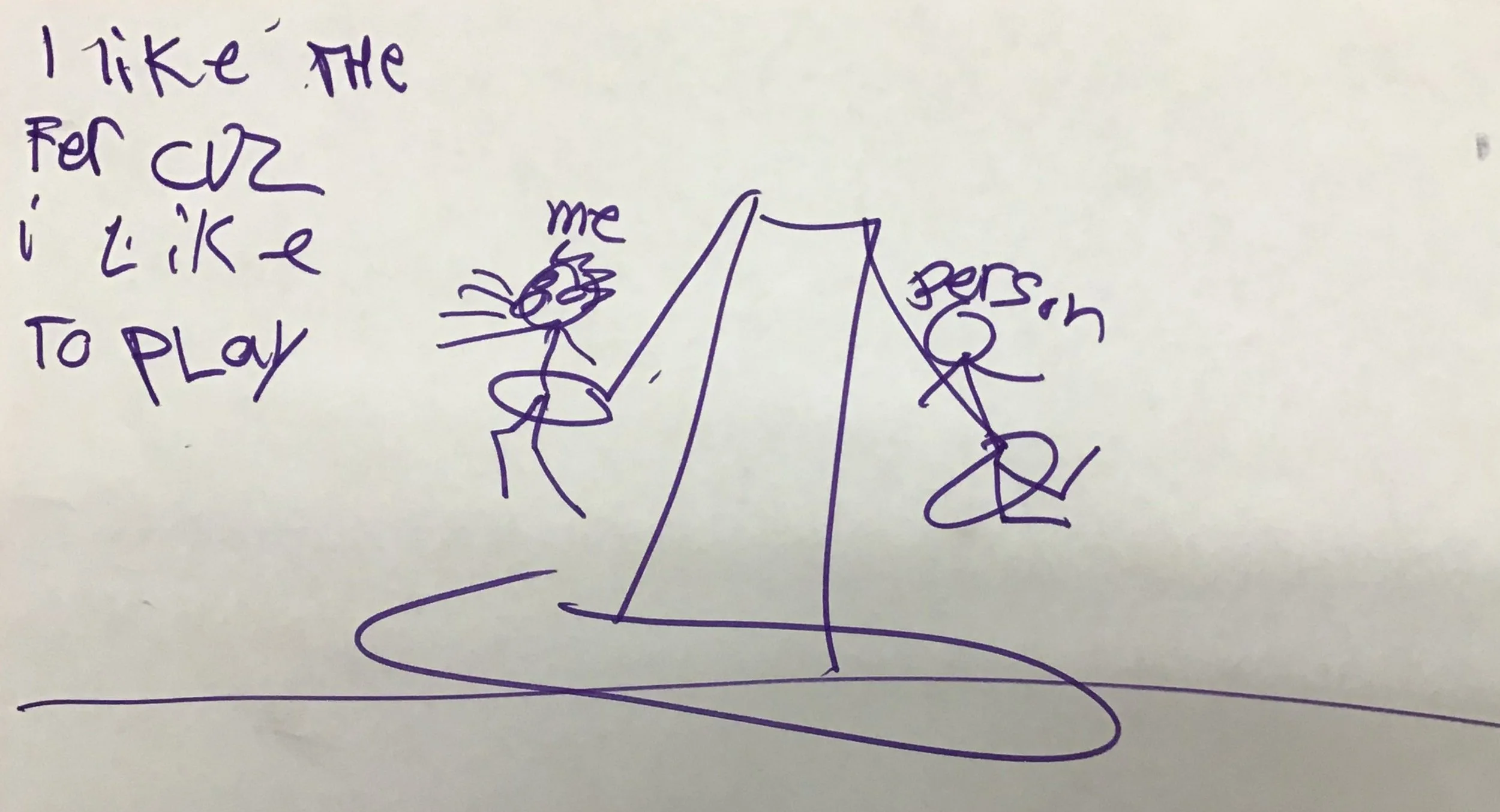 Getting Sick at the Fair