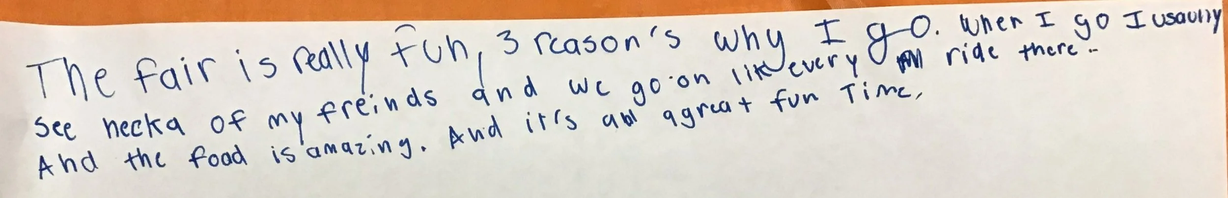 Why I go to the Fair