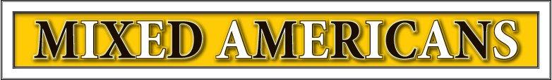 mixedamericans.png