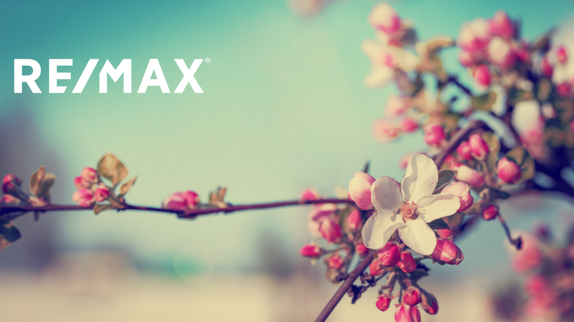 image of cherry blossom on branch