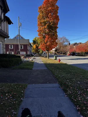 Retirement Communities in Goshen, NY: A Local's Guide to Costs and Lifestyle