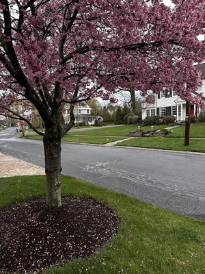 History of Goshen, NY: From Colonial Crossroads to Orange County's Enduring Seat