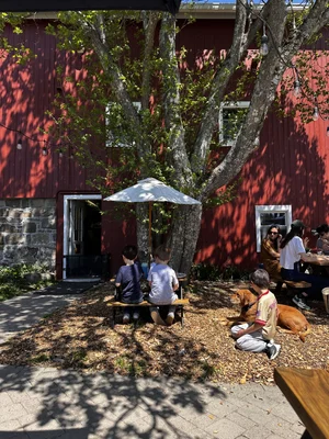 What's Happening in the Hudson Valley This Weekend? Events for May 16-17, 2026