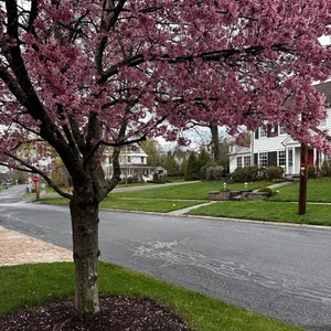 Is Goshen, NY a Good Place to Live?
