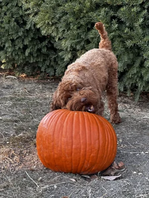 What's Happening in the Hudson Valley Fall 2026? 100+ Things to Do