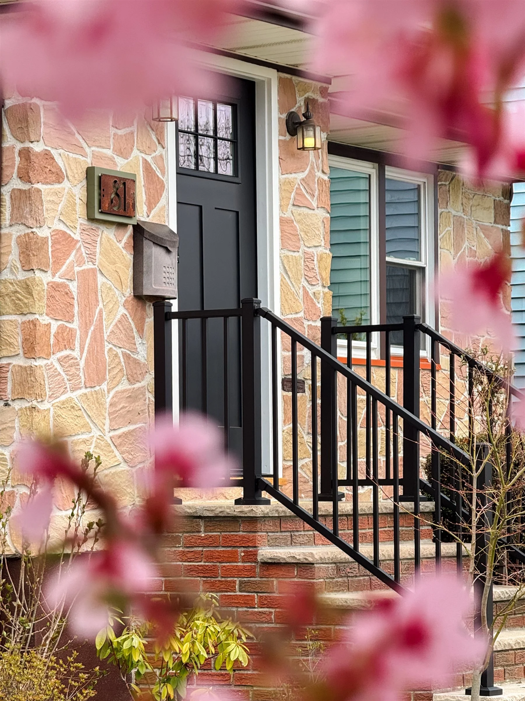 1-81Burnett_cherryblossom-0859.jpg
